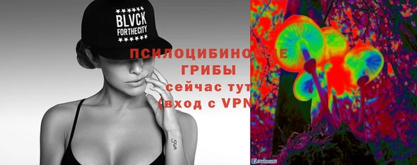 стафф Козловка