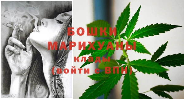 PSILOCYBIN Козельск