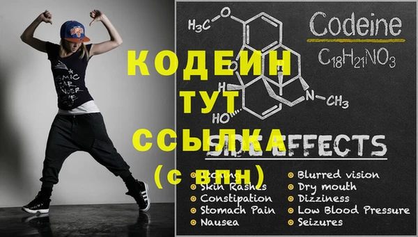 твердый Корсаков