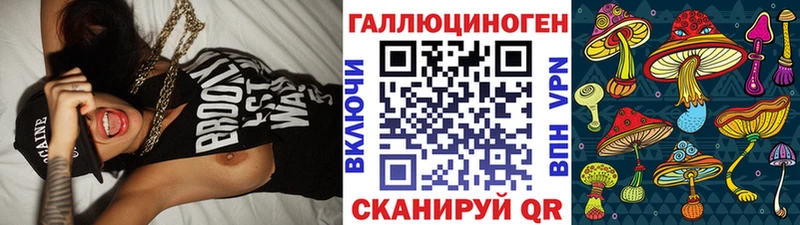 Галлюциногенные грибы Psilocybine cubensis  Купить где  Каменск-Уральский 